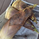 旬の味覚をお裾分けしていただきました☆