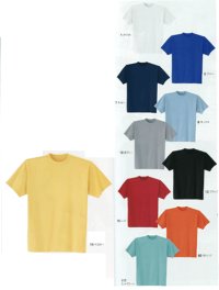 画像2: 0010 半袖Tシャツ・厚手（10色）