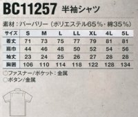 画像1: WA11257R 半袖シャツ (4色)