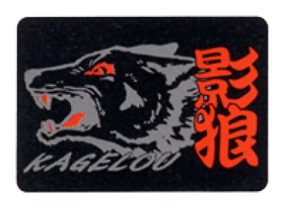 画像2: 11-001 カーゴニッカパンツ（5色） (2)