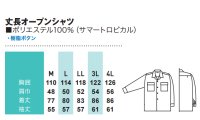 画像1: SW62015 長袖シャツ (5色)