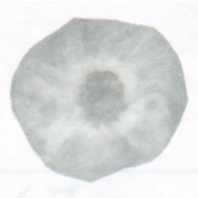 画像2: FSB-30 空調服(R)フィルター30枚 (2)