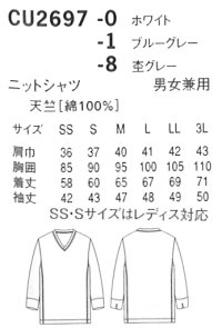 画像1: CU2697 ニットシャツ (2色)