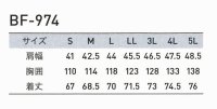 画像1: BF-974【ブルゾンのみ】ALT空調服(R)／ベスト