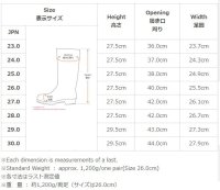 画像1: NR041 冷凍庫用〈-40℃対応〉防寒安全長靴 (ブラック)