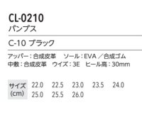 画像1: CL-0210 パンプス (1色)