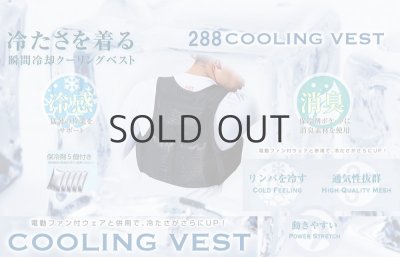 画像5: 288 クーリングベスト (1色)  (5)