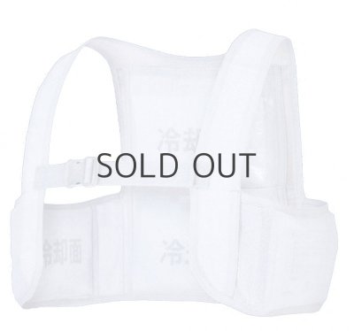 画像3: AZ-865948 アイスベスト(保冷剤4個付) (2色) (3)