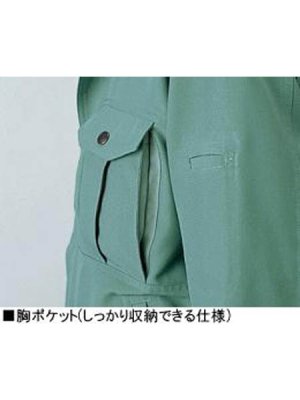 画像5: 46914 半袖シャツ（3色） (5)