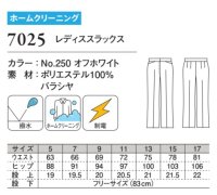 画像1: 7025 レディーススラックス (1色)