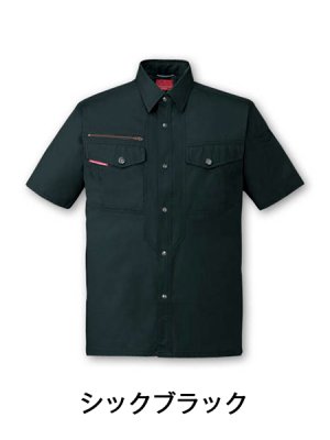 画像6: 84214 半袖シャツ（5色） (6)