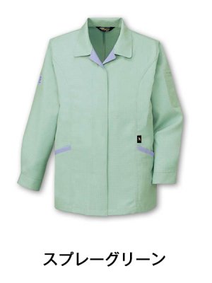 画像4: 84425 レディース高制電長袖スモック（3色） (4)