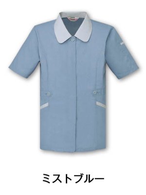 画像6: 45335 レディース半袖スモック（4色） (6)