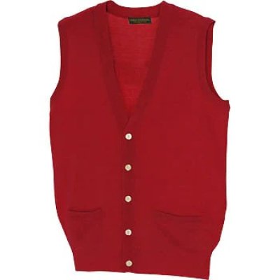 画像3: az7861 Vネック前開きベスト (3色) (3)