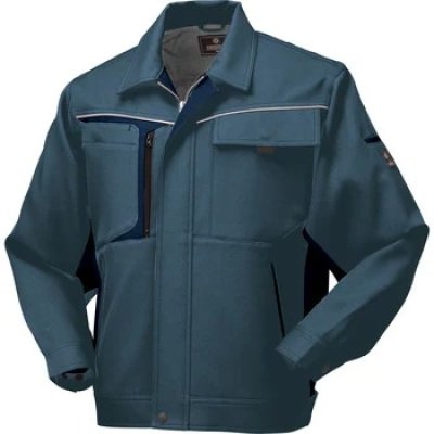 画像5: 189552 長袖ジャンパー・夏 (5色) (5)