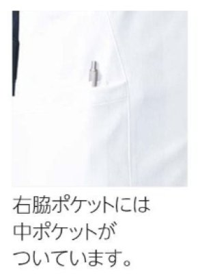 画像12: MZ-0238 ファスナースクラブ・レディース (4色) (12)