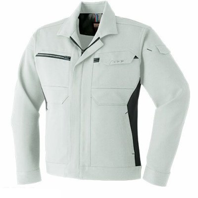 画像3: AS038 長袖ブルゾン (5色) (3)