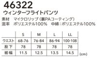 画像1: 46322 ウィンターフライトパンツ (2色)