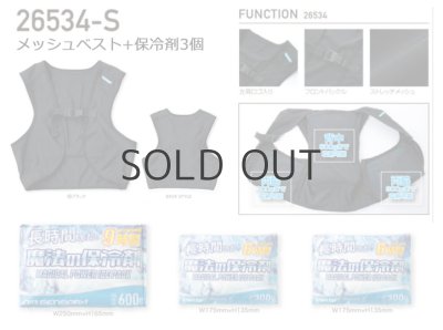 画像3: 26534-S メッシュベスト&保冷剤3個セット (1色) (3)