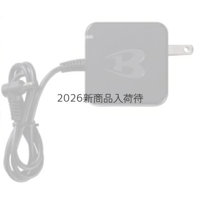 画像2: AC10-3 急速充電器 (2)