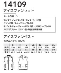 画像1: 14109 アイスファンセット(2色)