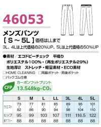 画像1: 46053 メンズパンツ (2色)