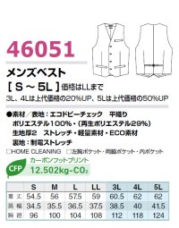 画像1: 46051 メンズベスト (2色)