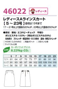 画像1: 46022 レディースAラインスカート (2色)