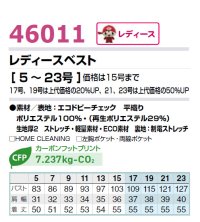 画像1: 46011 レディースベスト (2色)