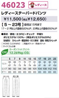 画像1: 46023 レディーステーパードパンツ (2色)
