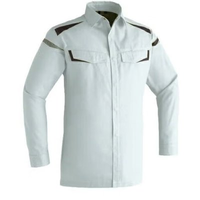 画像4: AS4058E 長袖シャツ (5色) (4)