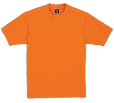 画像2: 47624 半袖Ｔシャツ・二層構造（7色） (2)