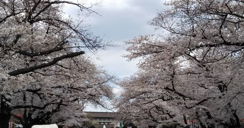 新年号が決まりましたね！