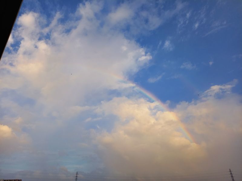 雨上がりに☆