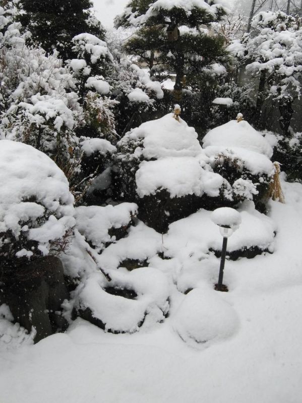 積雪にご注意ください！