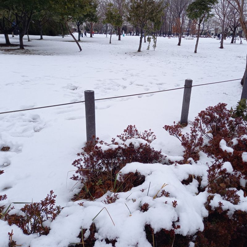 雪道にお気をつけください！